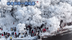 元旦假期冰雪游市场火热